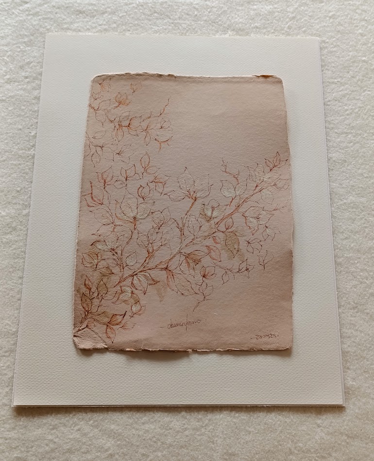 buganvilla II 2