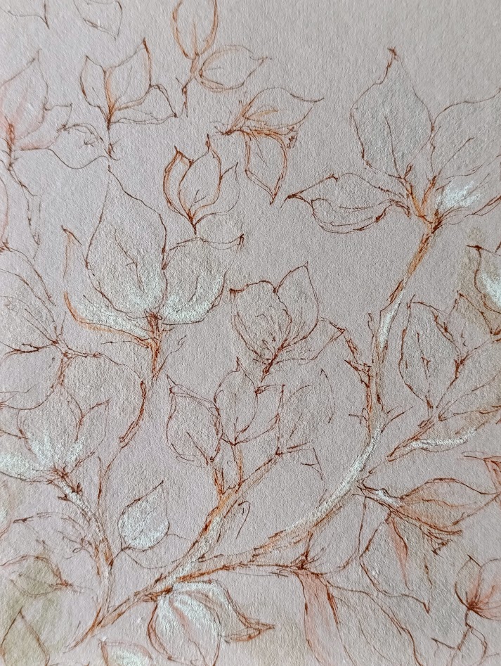 buganvilla II 5