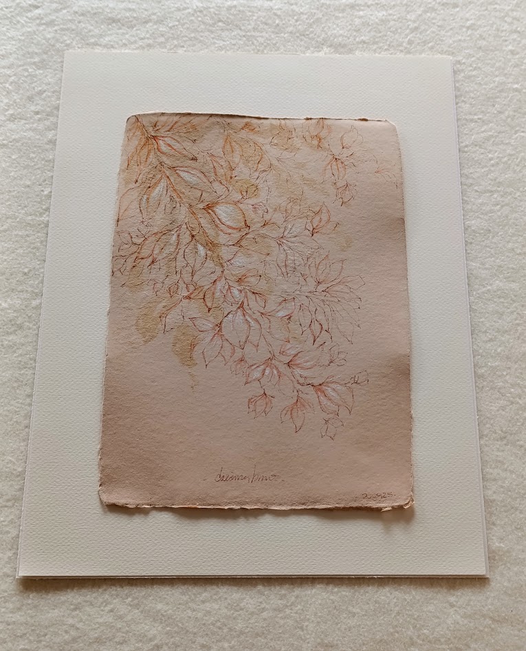 buganvilla III 3
