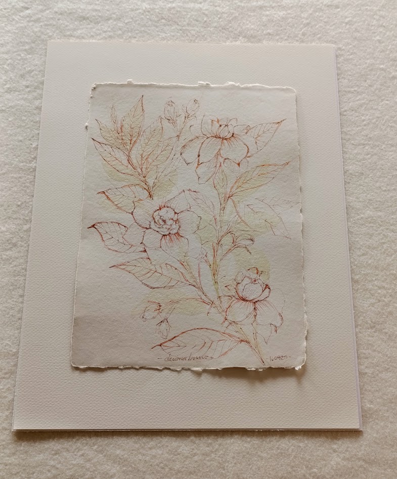 gardenia II 2