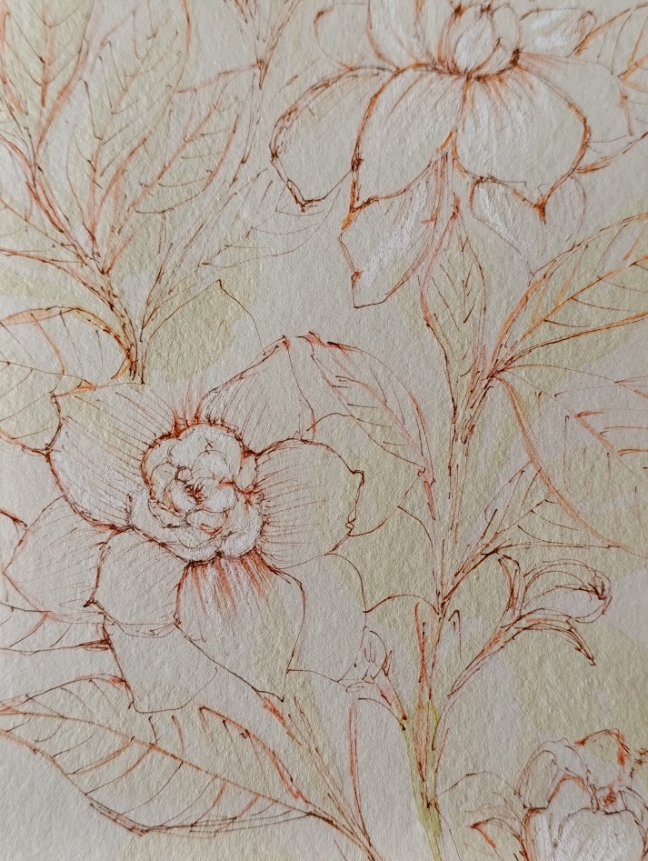 gardenia II 4