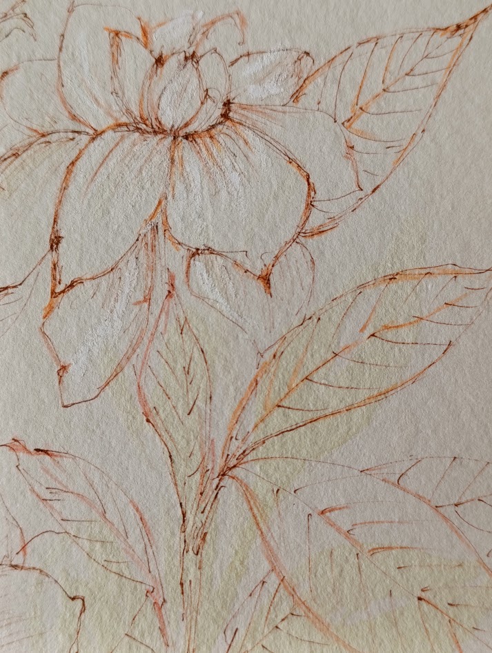 gardenia II 6