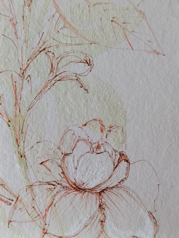gardenia II 7