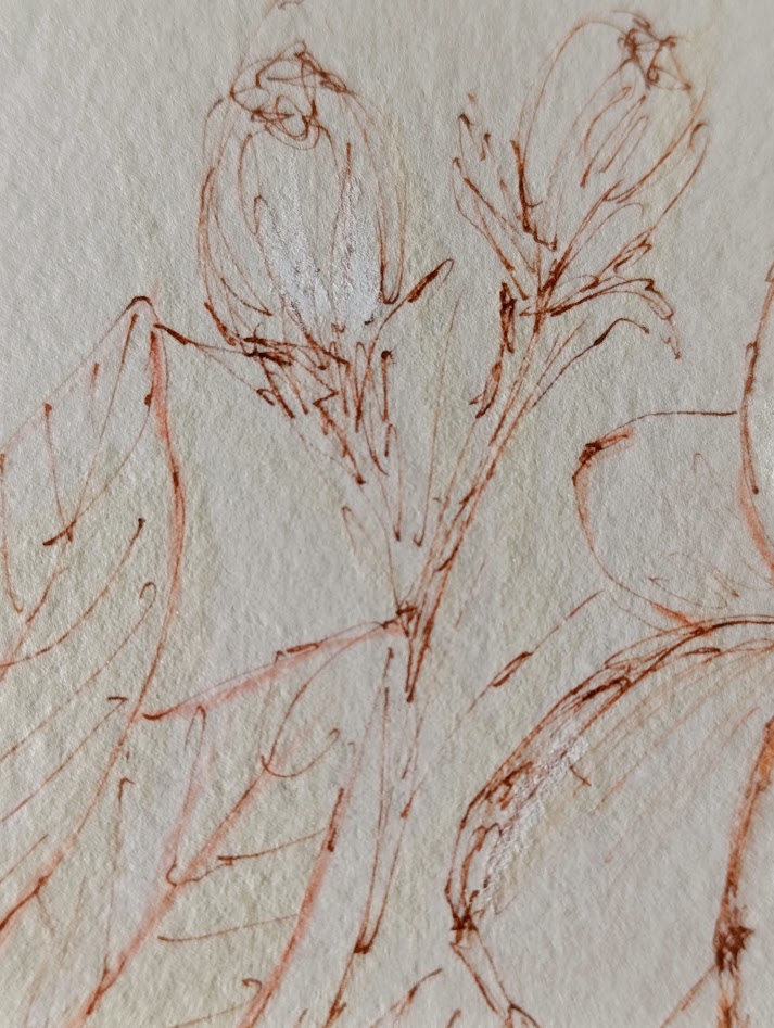 gardenia II 9