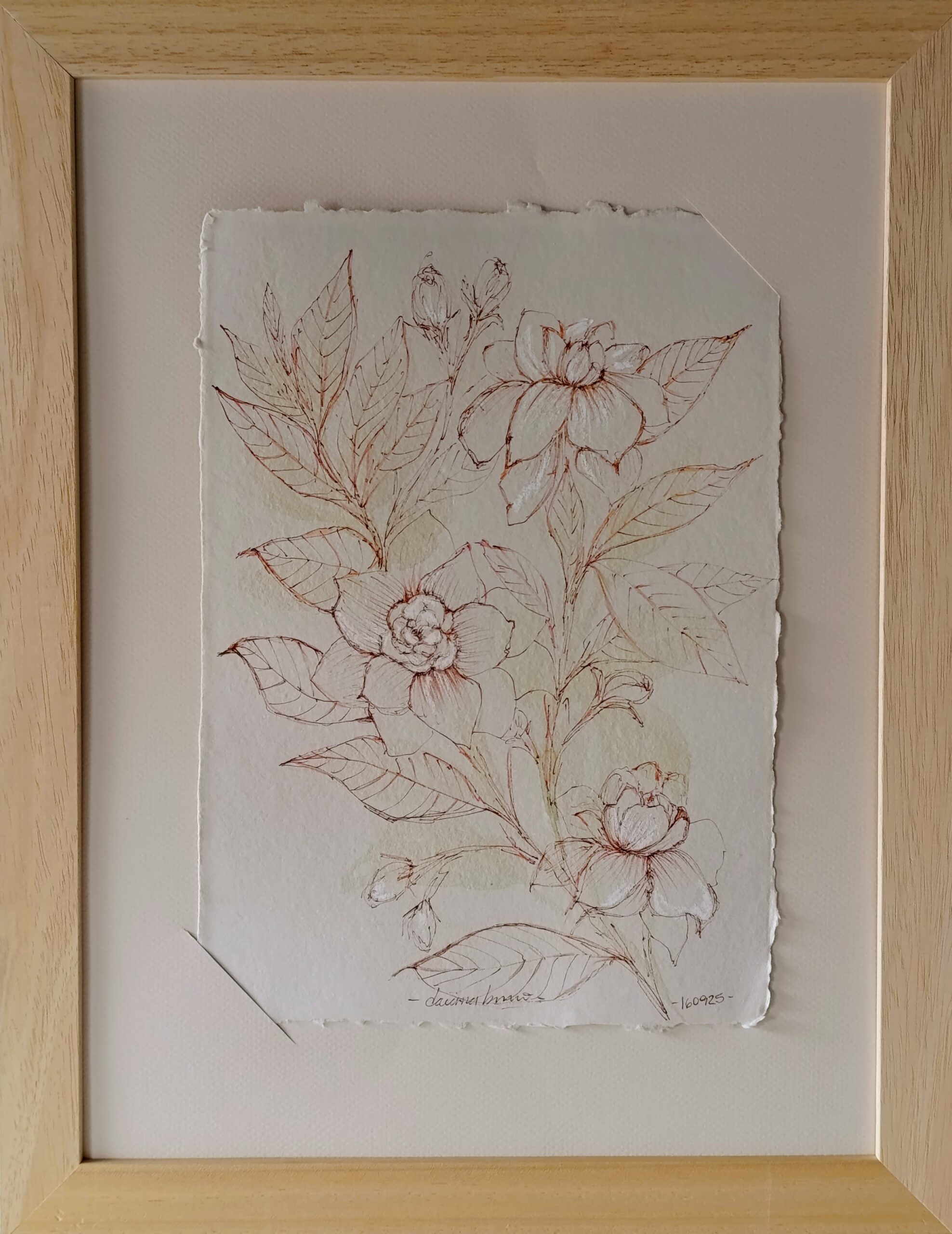 gardenia II