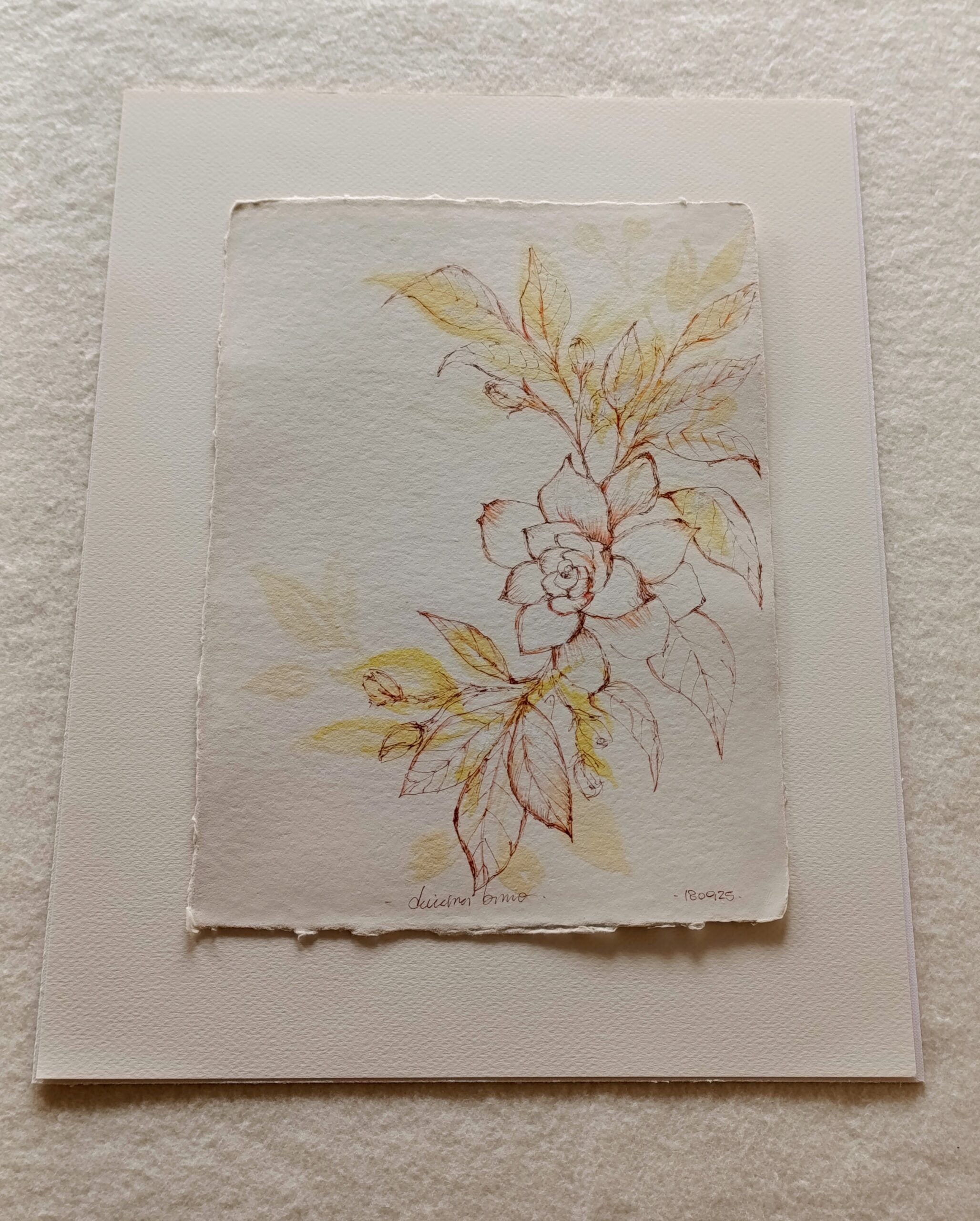 gardenia III 2
