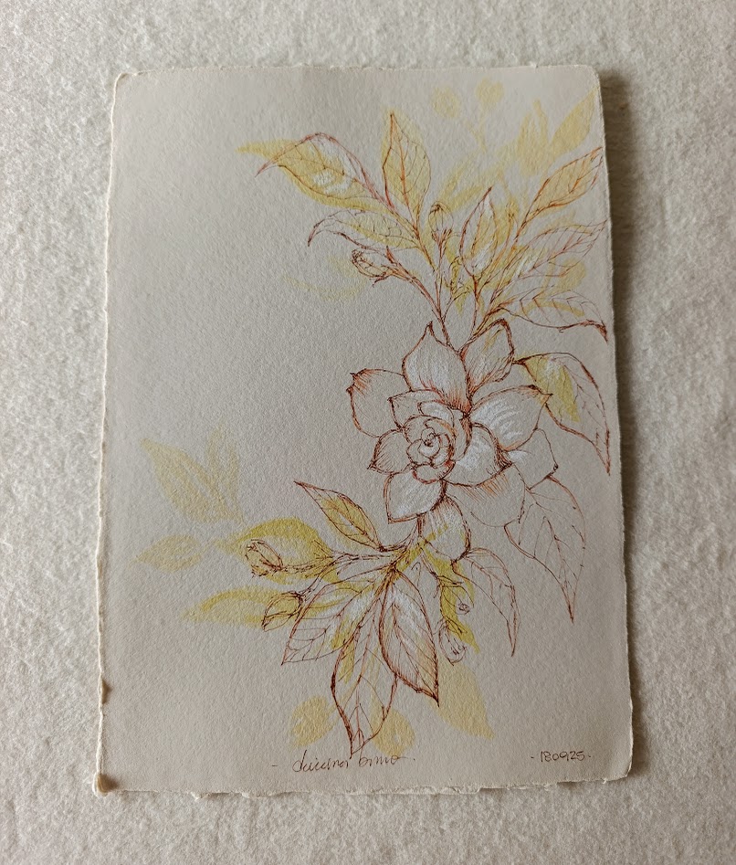 gardenia III 3