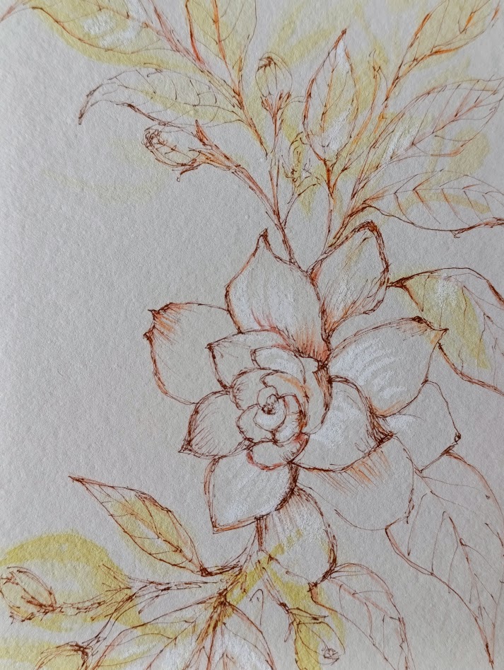 gardenia III 4