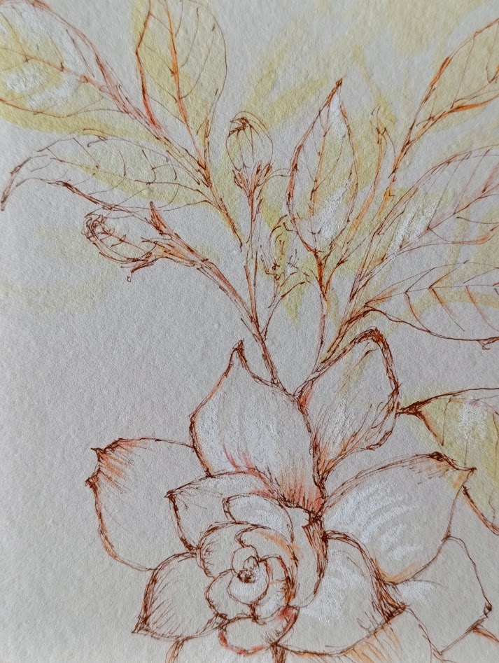 gardenia III 5