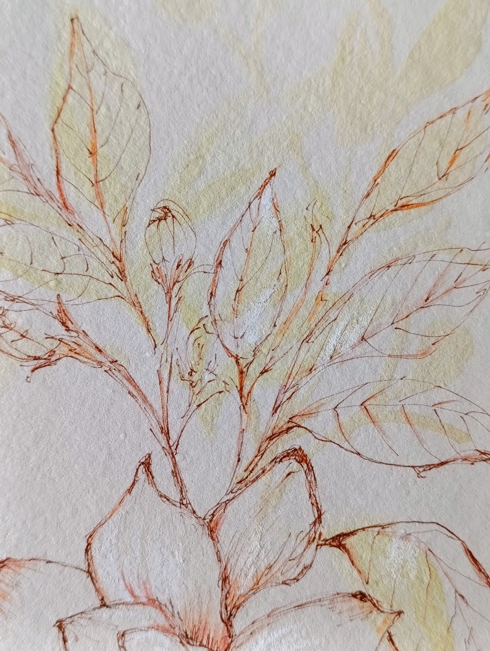 gardenia III 6