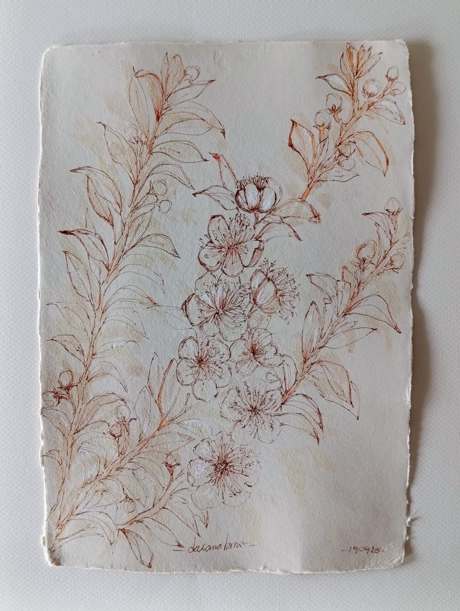 mirto II 2