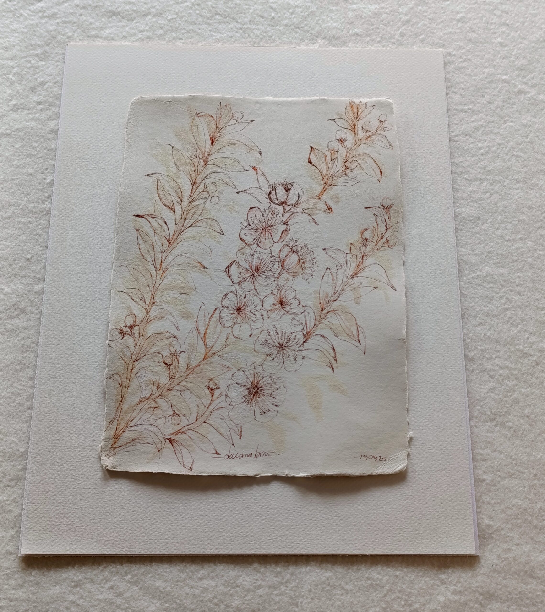 mirto II 3